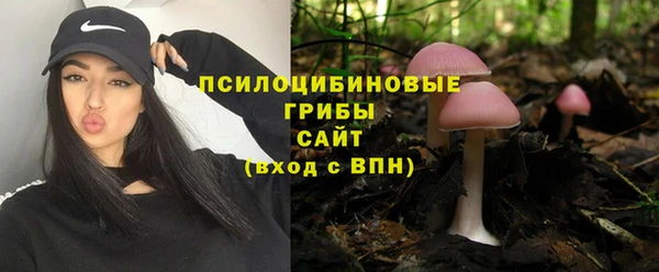 кокс Козельск