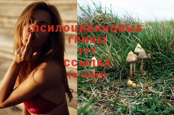 амфетамин Козловка