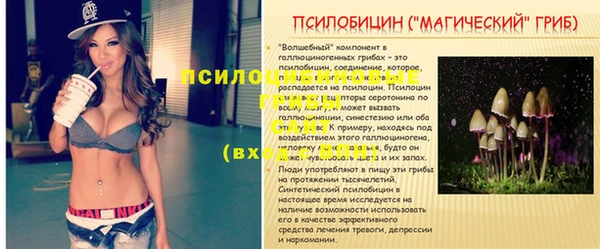 амфетамин Козловка